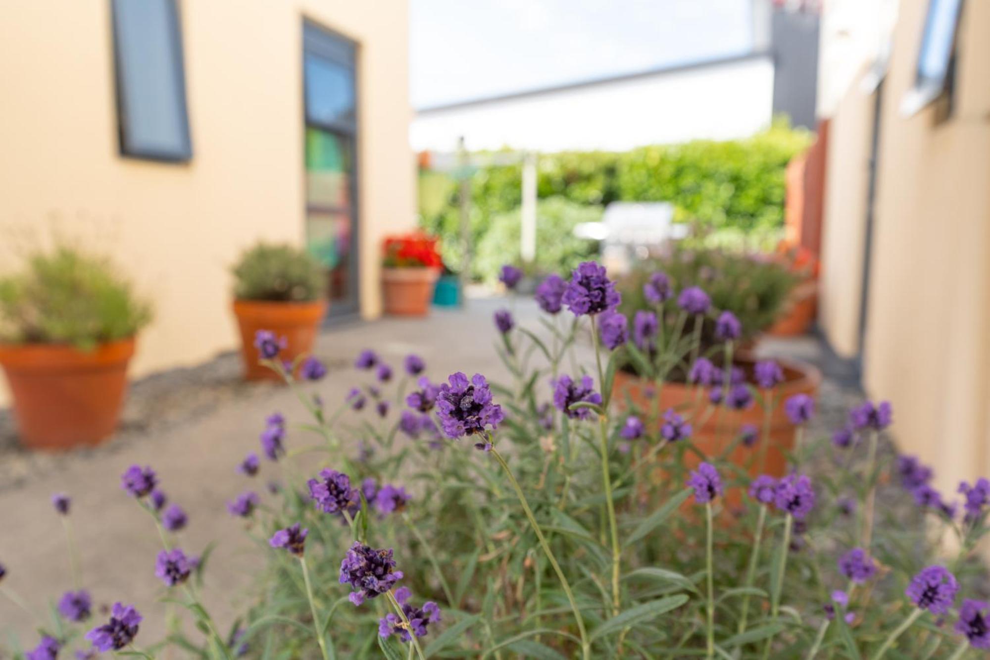 Bella Vista Motel Ashburton Dış mekan fotoğraf