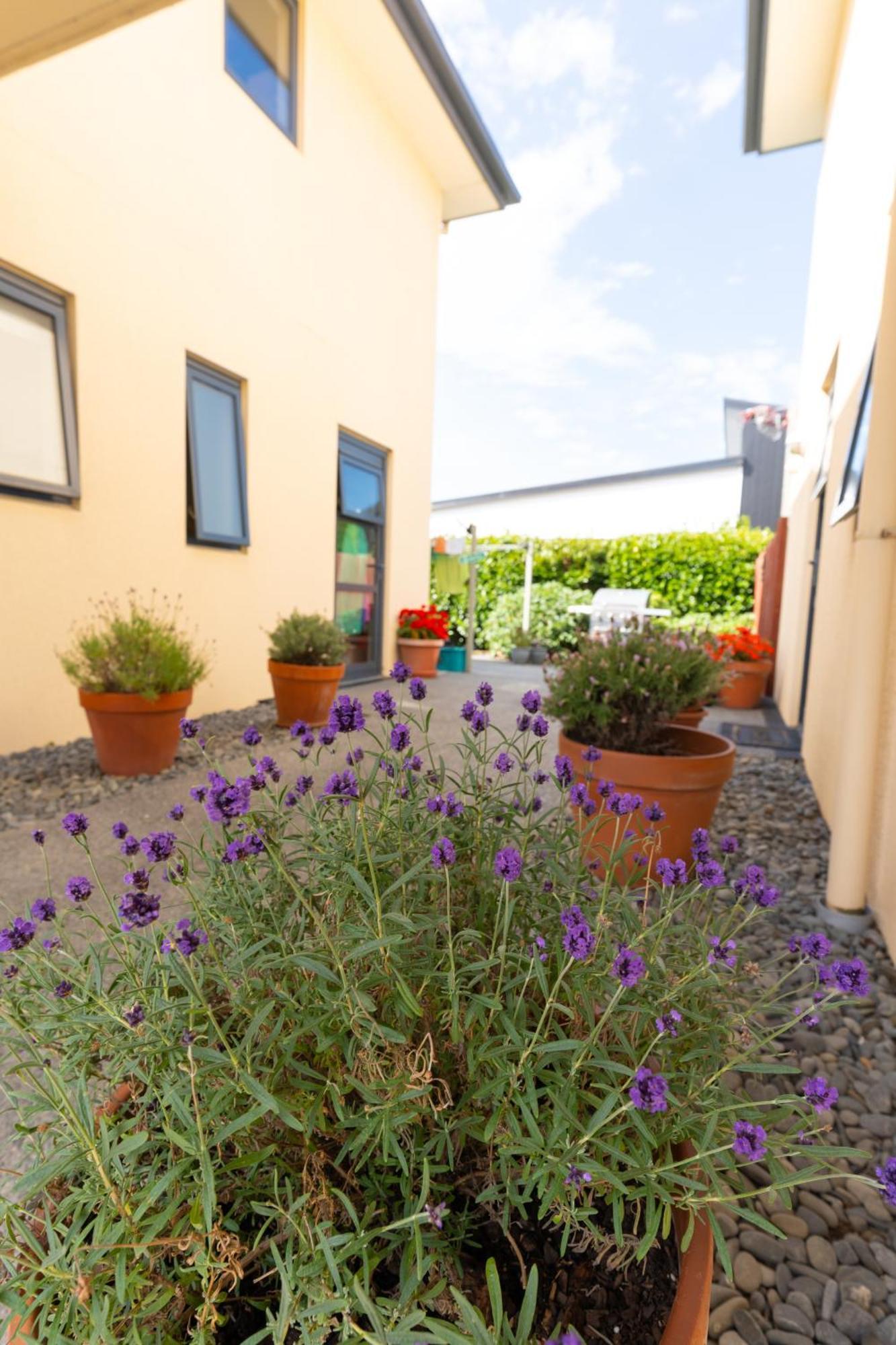 Bella Vista Motel Ashburton Dış mekan fotoğraf